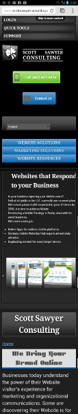 Responsive Website - Mobile